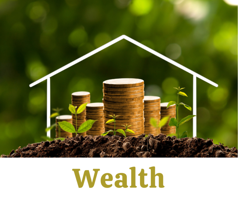 Wealth