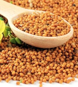 Mustard Seeds