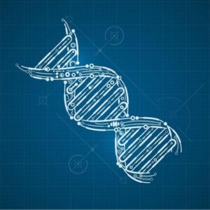 DNA blueprint