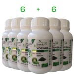 Moringa Life Products